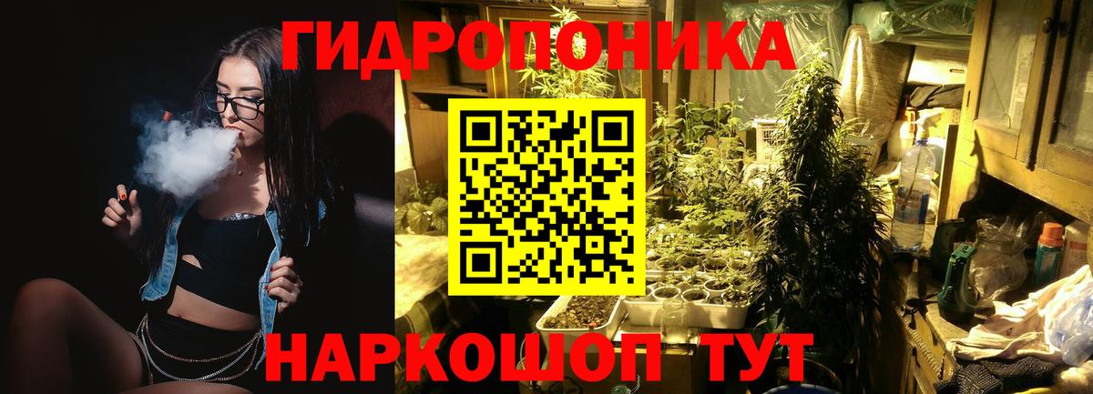 Марихуана AK-47  Конопля OG Kush  Баксан  Шишки марихуана тримм  Бошки марихуана план  Вход с VPN 